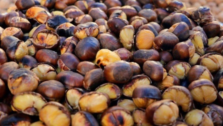 Kestane ihracatında çifte mutluluk