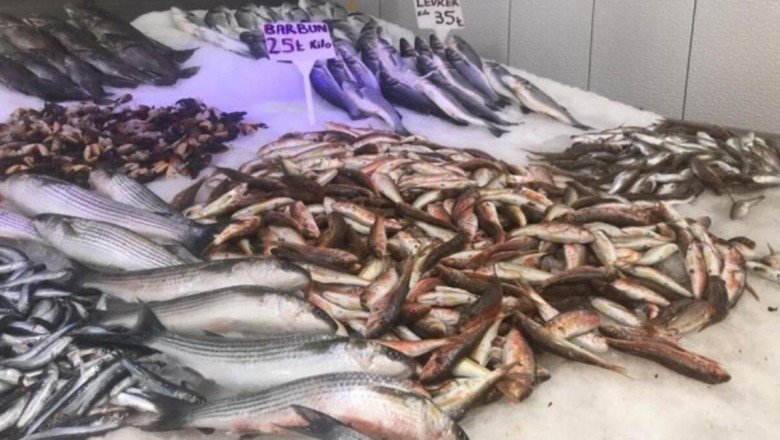 Lodos durdu! Tezgahlar balık doldu