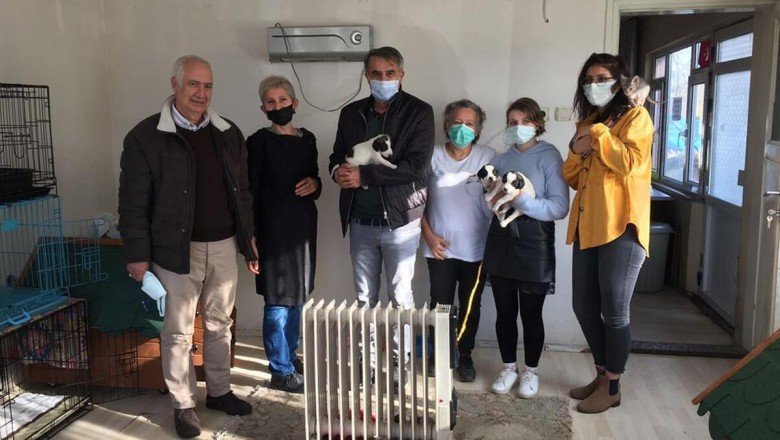 Şenol Güneş'ten hayvanseverlere destek