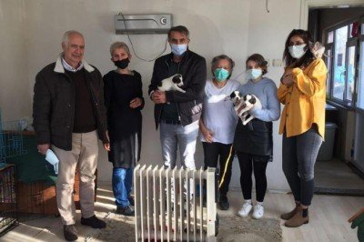 Şenol Güneş'ten hayvanseverlere destek