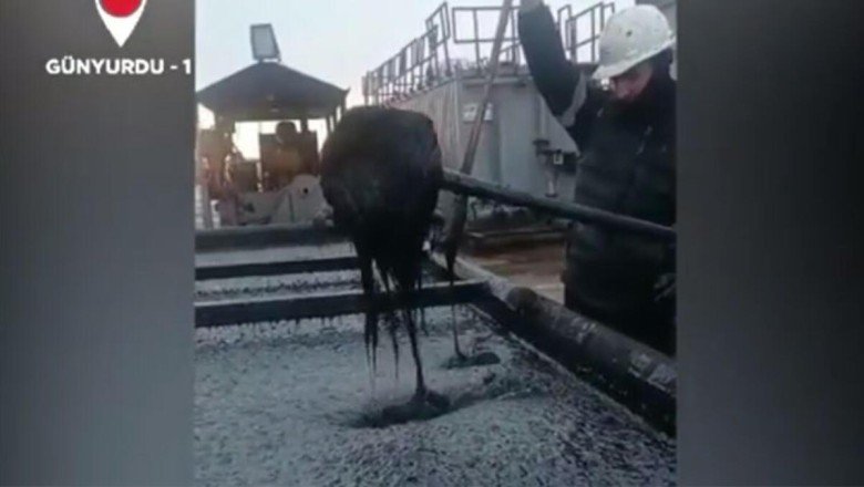 TPAO görüntülerini paylaştı! Heyecanlandıran keşif