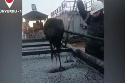 TPAO görüntülerini paylaştı! Heyecanlandıran keşif