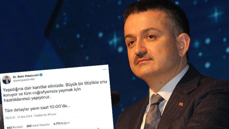 Bakan Pakdemirli talimatı verdi: Bulun ve koruma altına alın