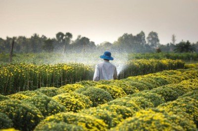Dijital Tarım İstasyonlarıyla ekonomiye 57 milyon TL’lik katkı