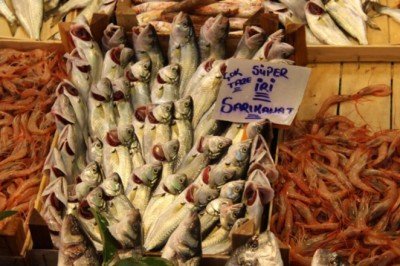 Kilosu 80 lira... Kapış kapış satılıyor