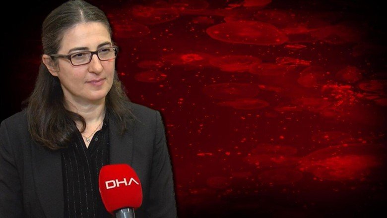 Marmara'da müsilajdan sonra yeni tehdit! İstila ettiler