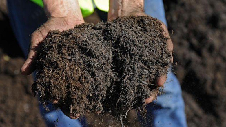 Dolardaki artış  etkisiyle gübrede fiyatlama yapılamıyor: 'Yakın dönemde gıda yokluğu yaşayabiliriz'