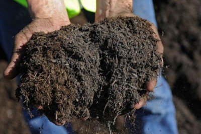 Dolardaki artış  etkisiyle gübrede fiyatlama yapılamıyor: 'Yakın dönemde gıda yokluğu yaşayabiliriz'