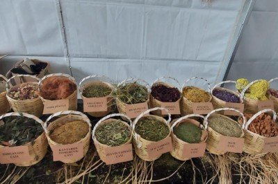 Dünya Çay Günü'nde 73 çeşit çay ikram edildi