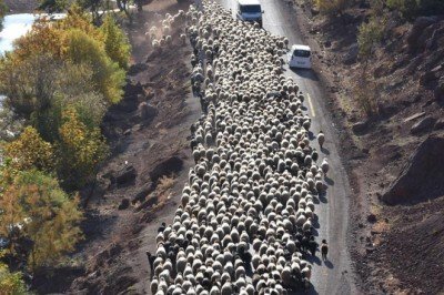 Göçerlerin kışlık çadırlarındaki zorlu mücadelesi