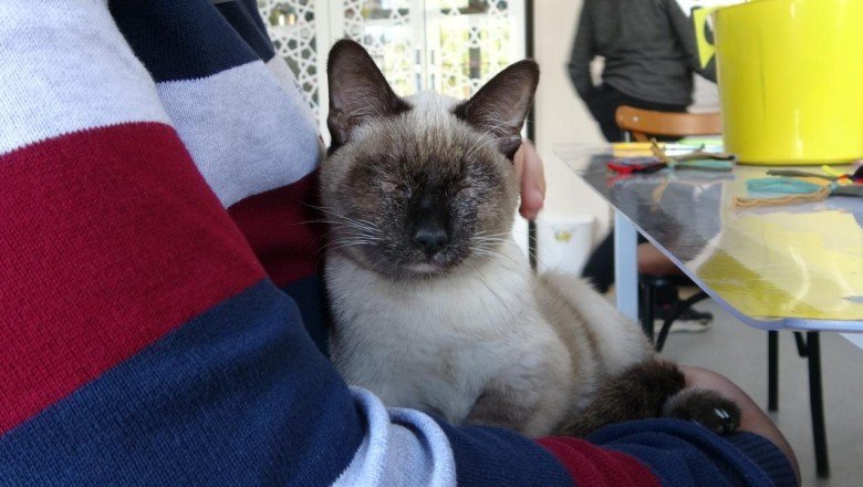 'Helva' okulun maskotu oldu