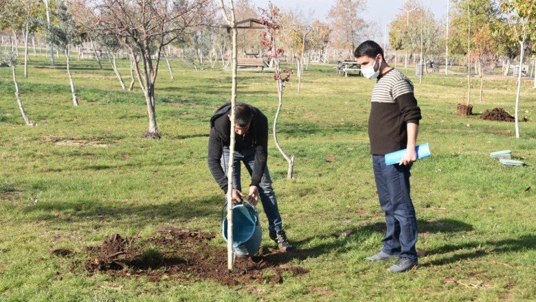 Parktaki ağacı kesti, 10 fidan dikme cezası verildi