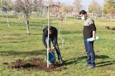 Parktaki ağacı kesti, 10 fidan dikme cezası verildi