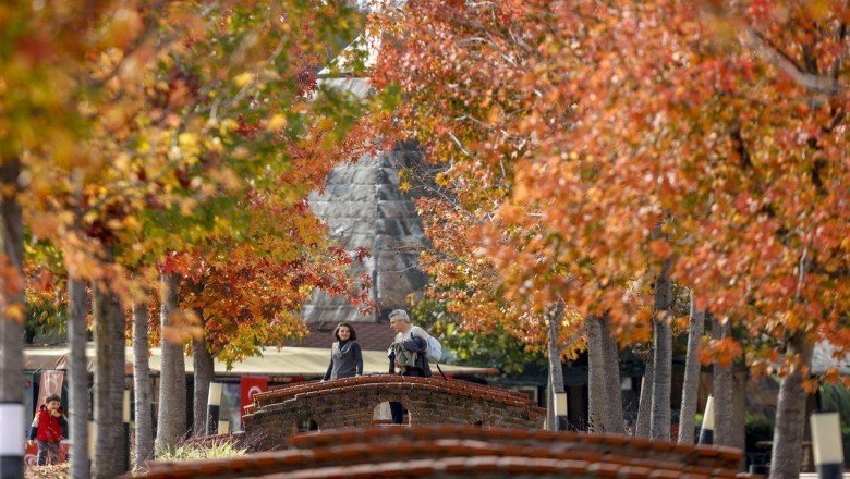 Son 50 yılın en sıcak dördüncü kasım ayı yaşandı