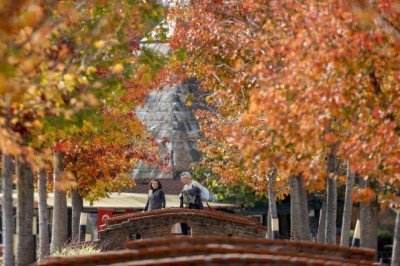 Son 50 yılın en sıcak dördüncü kasım ayı yaşandı