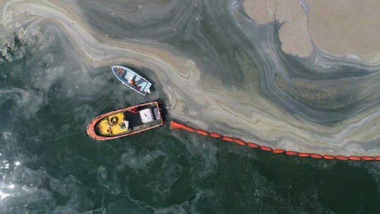 Komisyon çalışmasını tamamladı, müsilajın nedeni belli oldu