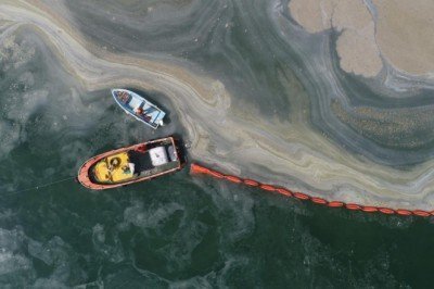 Komisyon çalışmasını tamamladı, müsilajın nedeni belli oldu