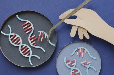 CRISPR ile gen düzenleme kolaylaşıyor