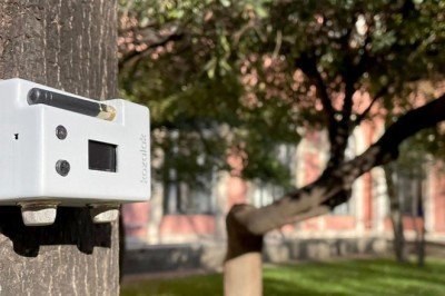 'Kozalak' orman yangınlarını erkenden haber verecek