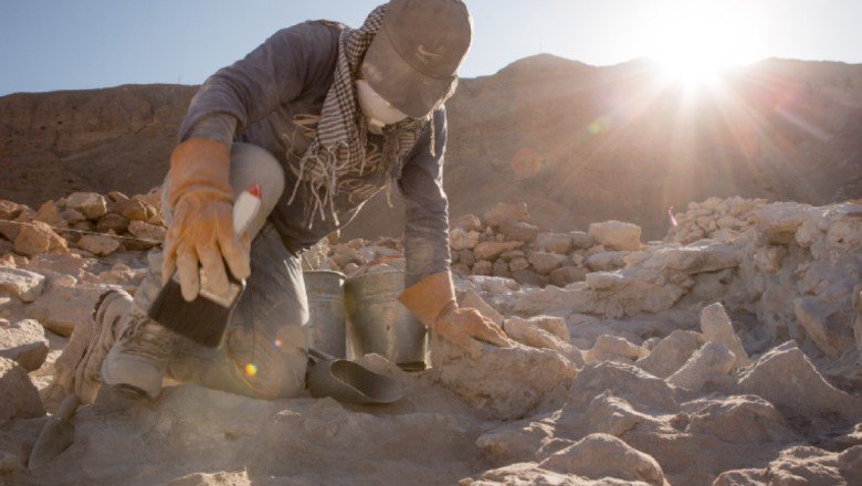 Güney Amerika'nın kadim uygarlığı, halkı yönetmek için halüsinojen maddelere ve biraya başvurmuş