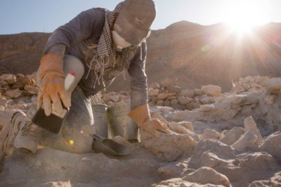 Güney Amerika'nın kadim uygarlığı, halkı yönetmek için halüsinojen maddelere ve biraya başvurmuş