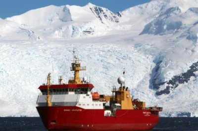 Yeni araştırmaya göre istilacı türler 