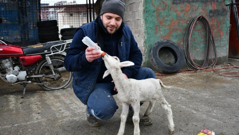 Manisa'da tamirhanenin maskotu 'Sibop'