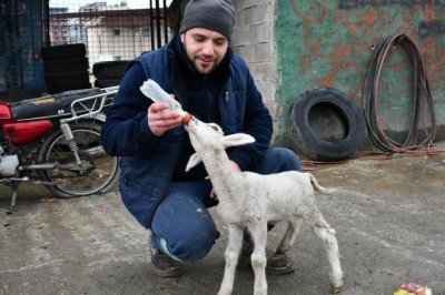 Manisa'da tamirhanenin maskotu 'Sibop'