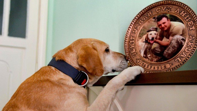 Şehit askerle 'Atmaca'nın bağı yılın fotoğrafı oldu