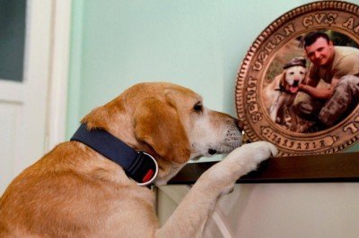 Şehit askerle 'Atmaca'nın bağı yılın fotoğrafı oldu