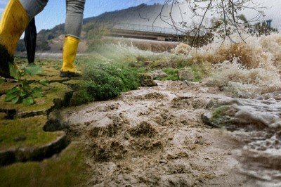 TÜBİTAK'ın desteklediği projelerin 4'te 1'i yeşil kalkınma odaklı