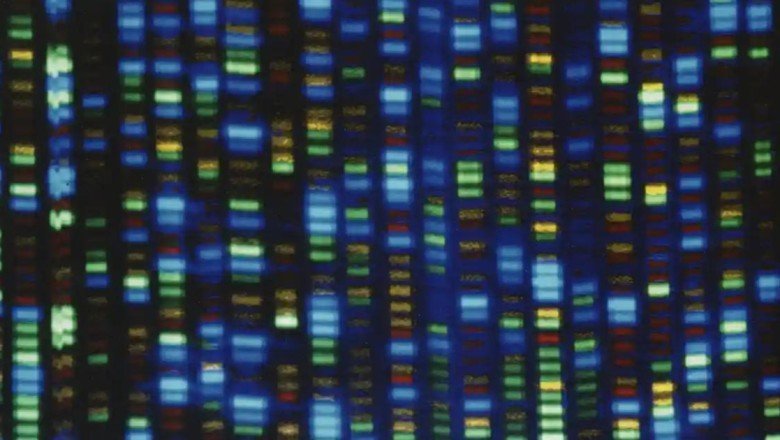 İnsanın gen haritası tamamen çıkarıldı