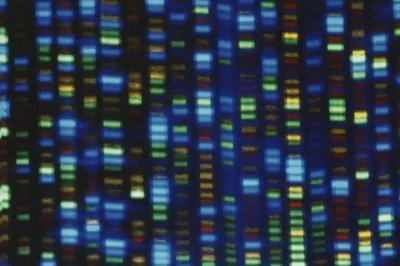 İnsanın gen haritası tamamen çıkarıldı