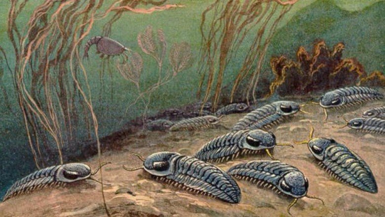 Yamyamlığın tarihinin bilinenden çok daha eskiye dayandığı ortaya çıktı