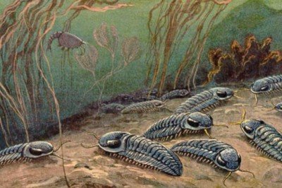 Yamyamlığın tarihinin bilinenden çok daha eskiye dayandığı ortaya çıktı