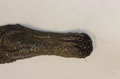 Çinli bilim insanlarından Venom'a benzeyen robot