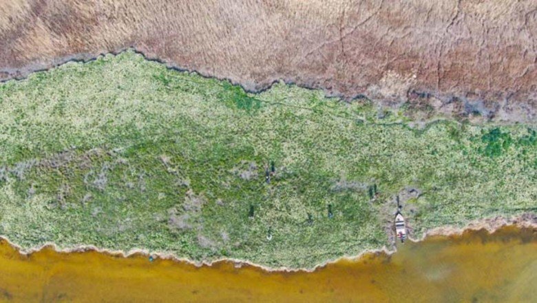 Adana’nın saklı cenneti: "Nergis Adası"