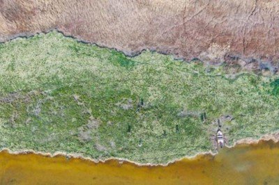 Adana’nın saklı cenneti: "Nergis Adası"