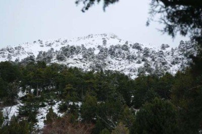 Akdağ Tabiat Parkı’nda muhteşem kış görüntüsü