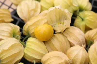 Altın çilek meyvesi raflarda