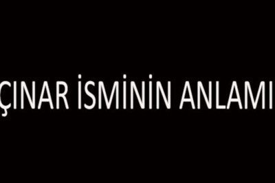 Çınar İsminin Anlamı Nedir? Çınar İsmi Kur'an'da Geçer Mi, Tdk Sözlük Anlamı Ne Demek?