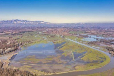 Efteni Gölü, doğal güzelliğiyle hayran bırakıyor