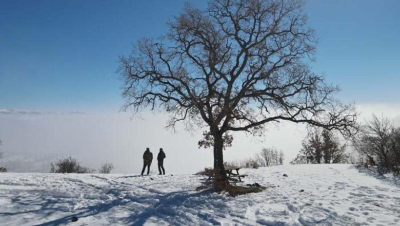 Sis, güneş ve yeşilin ahenkle dansı