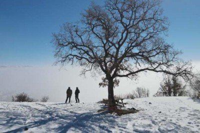 Sis, güneş ve yeşilin ahenkle dansı