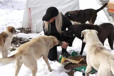 Sokak hayvanları unutulmuyor