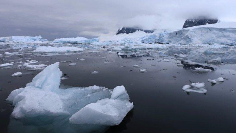 Antarktika'ya gemilerle ulaşan istilacı türler deniz ekosistemini tehdit ediyor