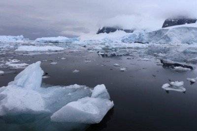 Antarktika'ya gemilerle ulaşan istilacı türler deniz ekosistemini tehdit ediyor