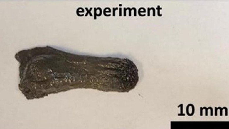 Görünüşü oldukça tuhaf! Yanlışlıkla yutulmuş nesneleri toplayabilir