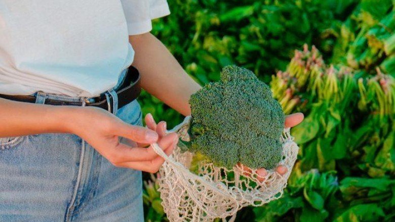 Her zerresi faydalı! Brokoliyi düzenli tüketmeniz için 10 en önemli neden