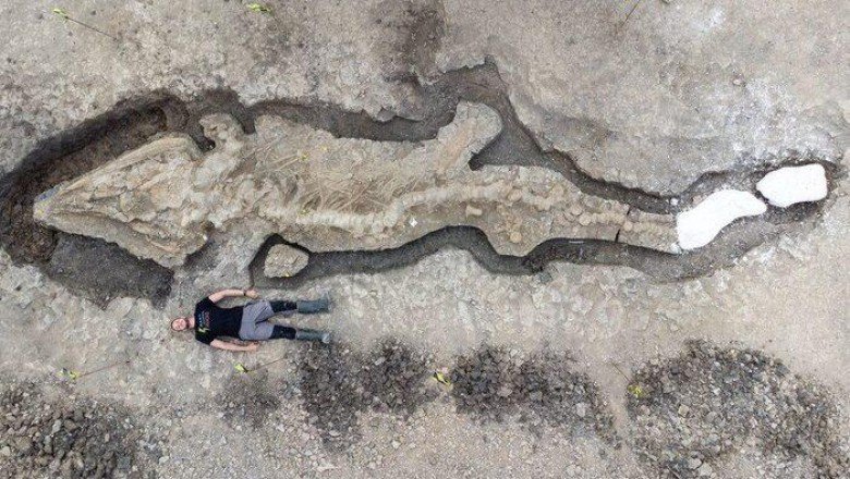 İngiltere'de dev 'deniz ejderhası' fosili bulundu
